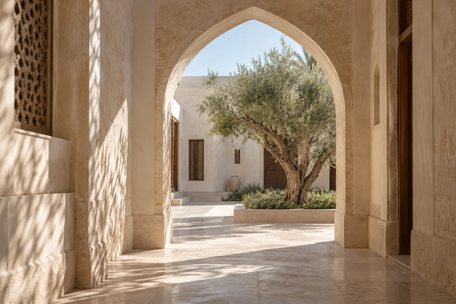 A sunlit archway and olive tree, a symbolic image of welcome and hope